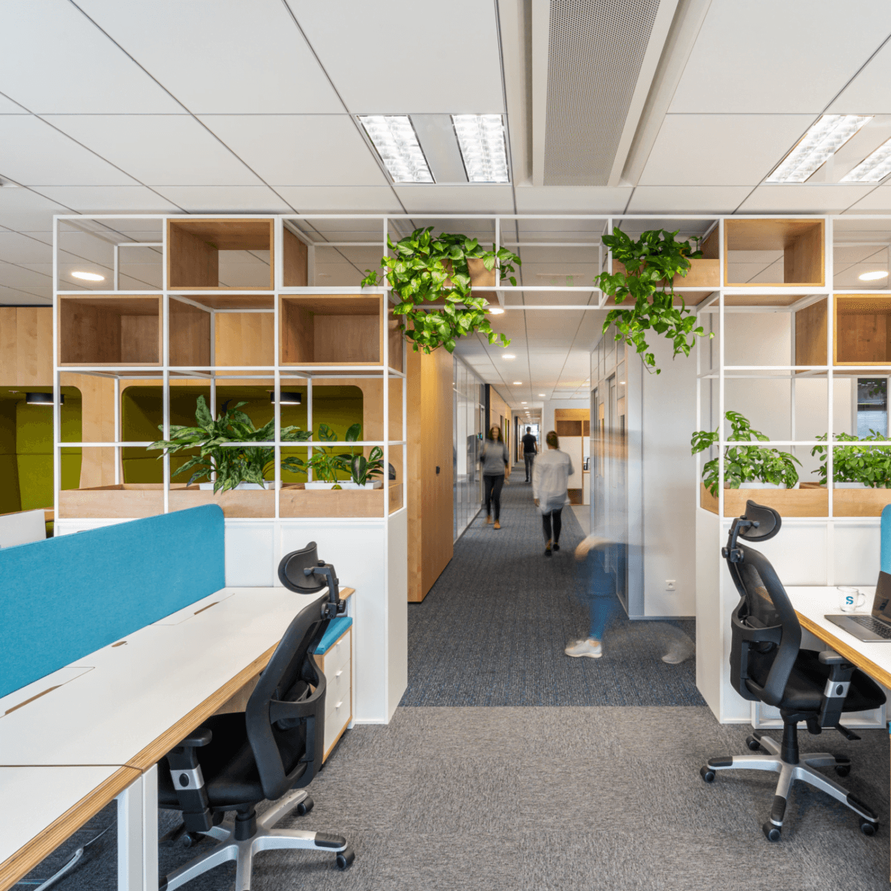 kanceláře Safetica