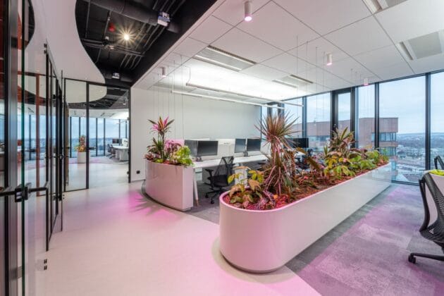 biofilní design v kanceláři